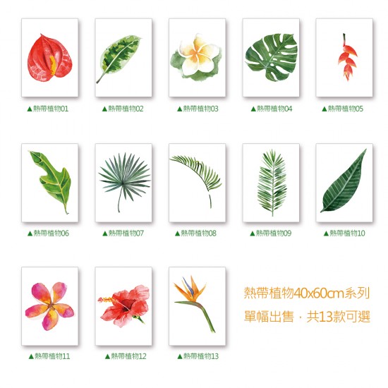 【24mama 掛畫】單聯式 北歐 簡約 花卉 植物 手繪風 葉子 花朵 ig風格 無框畫-40x60cm(熱帶植物系列)