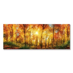 24mama掛畫 單聯式 秋天 風景 陽光 無框畫 80x30cm-溫暖森林