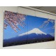24mama掛畫 三聯式 客製化無框畫 尺寸圖像都可客製 無框畫 60x80cm-富士山與櫻花在山中湖