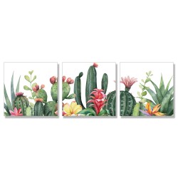 24mama掛畫 三聯式 仙人掌 花卉 插圖 夏天 無框畫 30x30cm-熱帶植物花卉