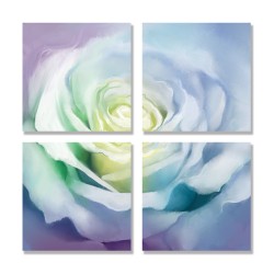 24mama掛畫 多聯式 花瓣 柔和 藝術繪畫 美麗花卉 無框畫 30x30cm-白玫瑰