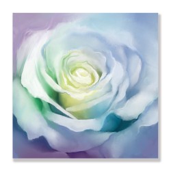 24mama掛畫 單聯式 花瓣 柔和 藝術繪畫 美麗花卉 無框畫 30x30cm-白玫瑰