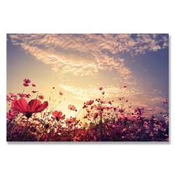 24mama掛畫 單聯式 花卉 陽光 復古 粉紅色 天空 雲 無框畫 時鐘掛畫 60x40cm-美麗花田