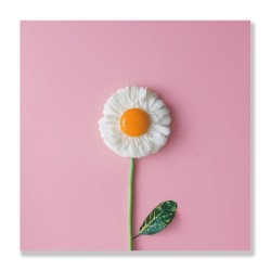 24mama掛畫 單聯式 雛菊 花朵 蛋黃 無框畫 30x30cm-白色雛菊