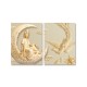 24mama掛畫 二聯式 新月 孔雀 雕像 雲 優雅 宗教 美麗藝術 花卉 靜思語 無框畫 30x40cm-神明孔雀