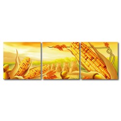  【123點點貼】壁貼 牆貼 家居裝飾 三聯式 方形30x30cm-黃金玉米田