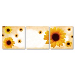 三聯式 方型 花卉 向日葵 無框畫 客廳 辦公室裝飾 喜氣 掛畫-希望-30x30cm