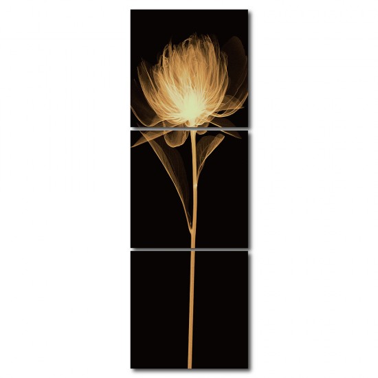 三聯式 方形 花卉 典雅風格 黑色 金色 無框畫 家飾品-低調風情-30x30cm