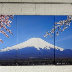 24mama掛畫 三聯式 客製化無框畫 尺寸圖像都可客製 無框畫 60x80cm-富士山與櫻花在山中湖