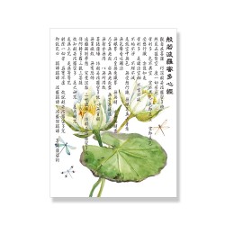 24mama掛畫 單聯式 美麗植物花卉 蓮花 開花 藝術繪畫 昆蟲 蜻蜓 荷葉 無框畫 30x40cm-般若波羅密多心經