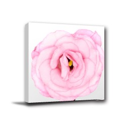 單聯式 方型 花卉 粉色 玫瑰 圖書館 無框畫 掛鐘 壁鐘 客廳 民宿 餐廳 飯店 家居裝飾-玫瑰花-30x30cm