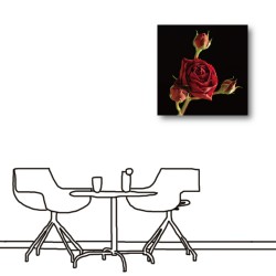 【123點點貼】單聯式 方型 小資DIY 壁貼 牆貼 家飾品 花卉 紅色 玫瑰 黑色 圖書館 無框畫 客廳 民宿 餐廳 飯店 家居裝飾-玫瑰花-30x30cm