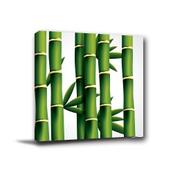 單聯式 方型 竹子 日式 無框畫 客廳 民宿 餐廳 飯店 家居裝飾-節節高升30x30cm