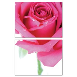 二聯式 橫幅 花卉 粉色 玫瑰 圖書館 無框畫 掛鐘 壁鐘 客廳 民宿 餐廳 飯店 家居裝飾 花店-玫瑰花茶-40x30cm