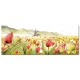 單聯式 橫幅 花卉 鬱金香 風車 小孩房裝飾 補習班 掛鐘 無框畫 家飾品 流行家飾-荷蘭風情-80x30cm